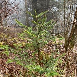 Meet your Posher, Ingrid